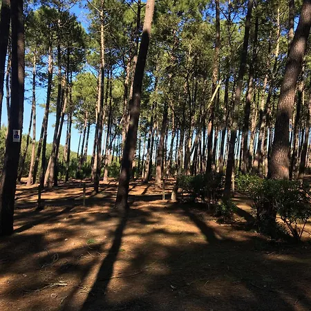 Prázdninový dům La Bergerie Des Landes *