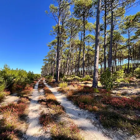 La Bergerie Des Landes * Lit-et-Mixe
