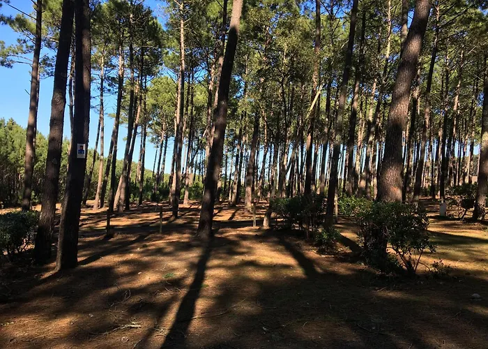 Дом отдыха La Bergerie Des Landes *